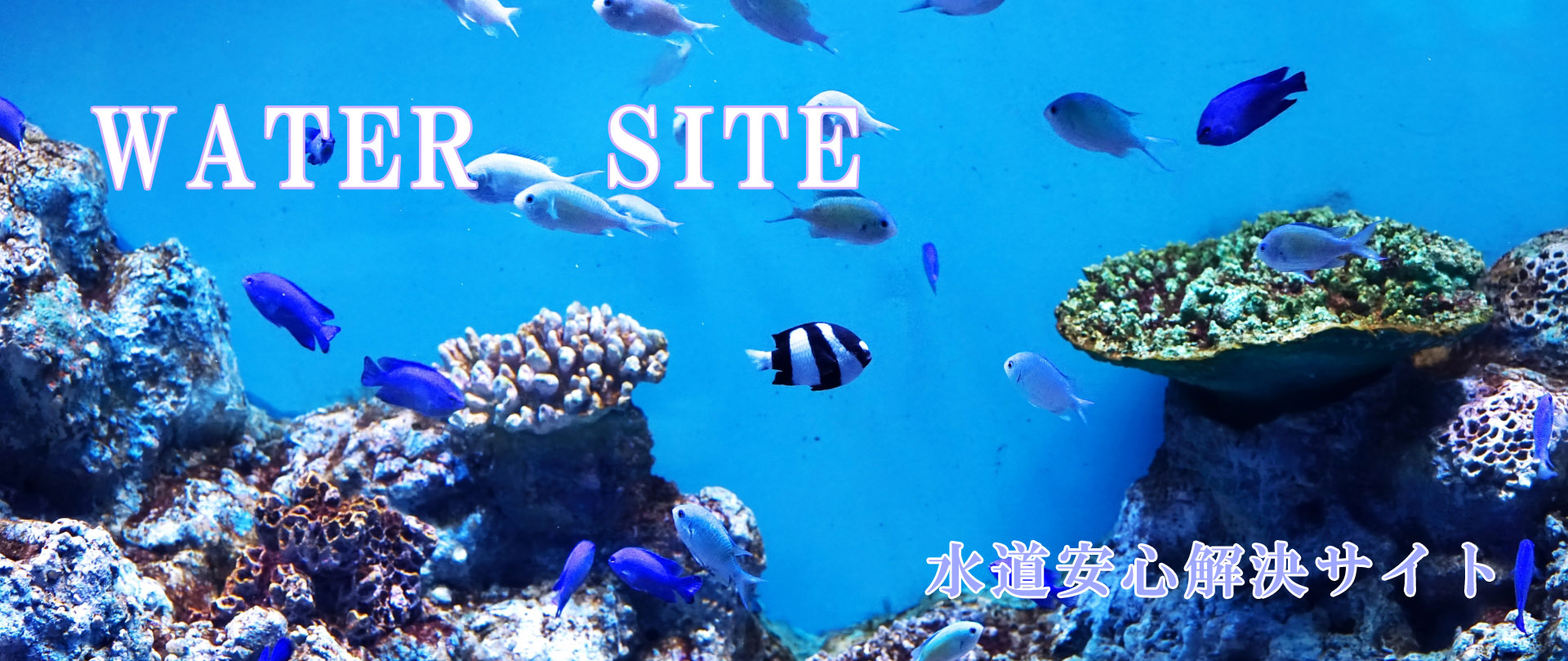 つまりや水漏れの水道トラブル